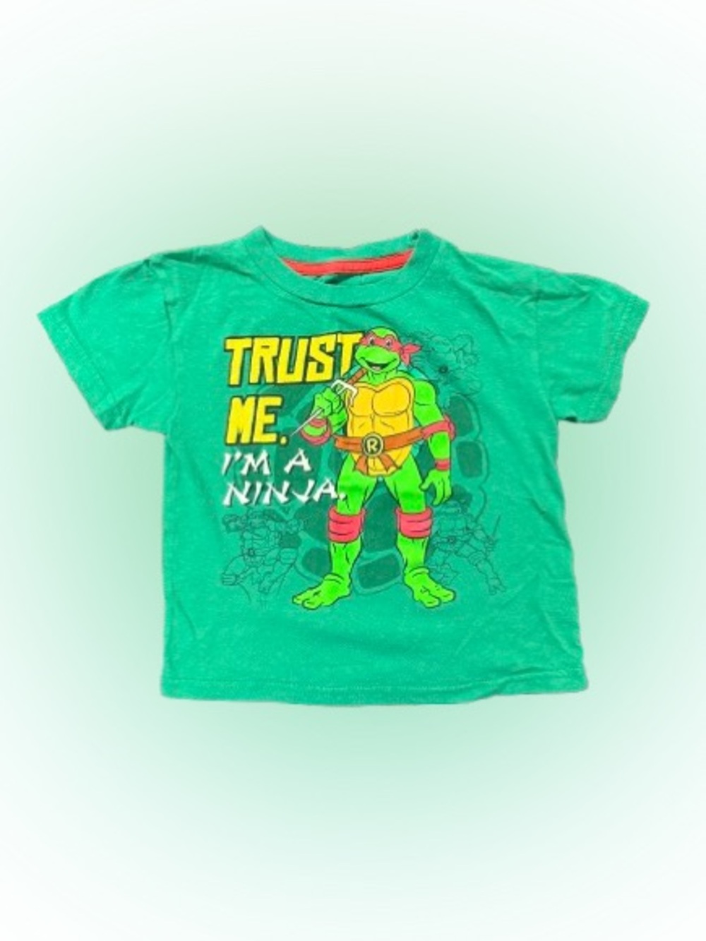 Teenage Mutant Ninja Turtles Tee 4T | Nickelodeon Raphael Graphic Shirt Green